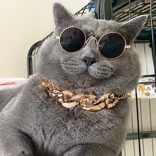 Kính Mắt Thời Trang Cho Thú Cưng
