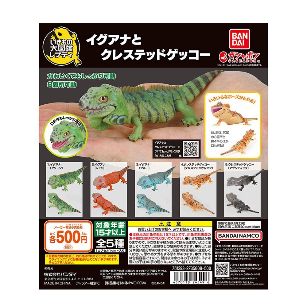 Hàng sẵn có Nhật Bản Sinh học chính hãng Sách minh họa lớn Thằn lằn Mỹ Iguana Gecko Gecko Hình Gasha