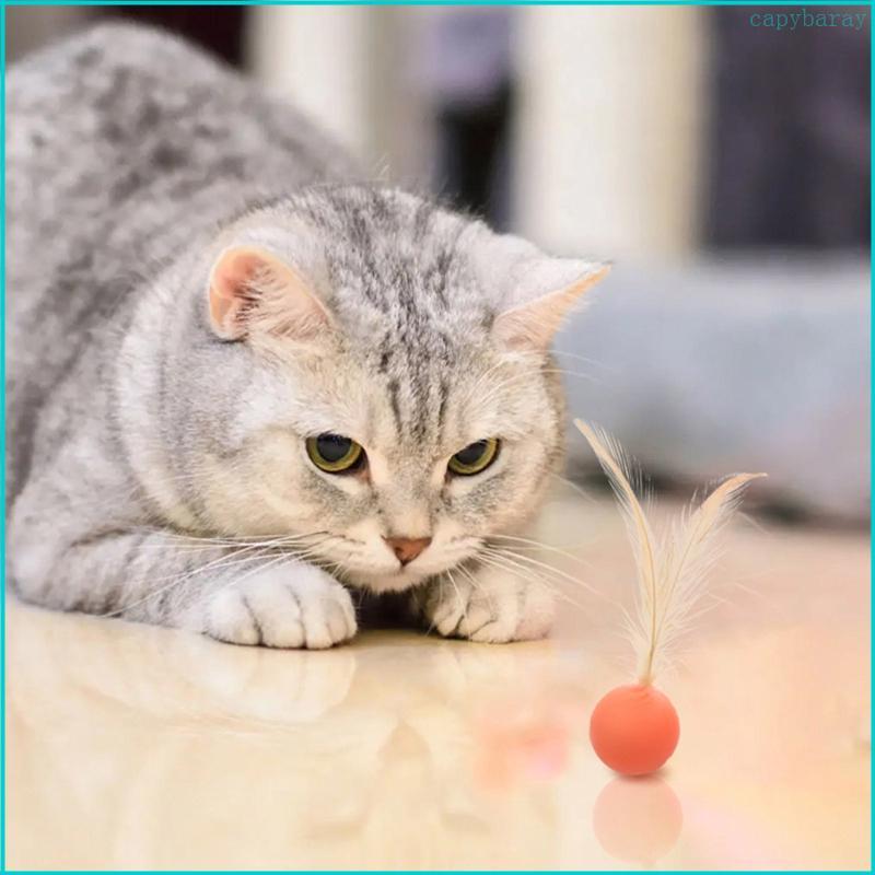 Dog  Toys Interactive Feather Balls Rubber Material Kitten Molar Toys