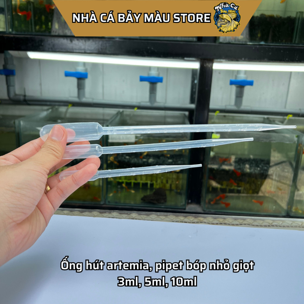 Ống hút Artemia, pipet, bóp nhỏ giọt nhựa 3ml, 5ml, 10ml