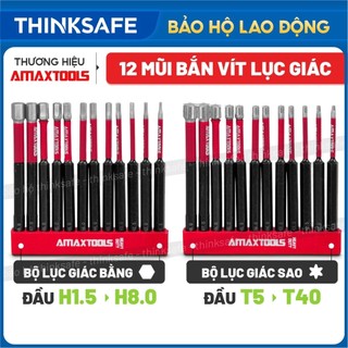  Bộ mũi vít lục giác - đầu hoa thị siêu cứng chống trượt Amaxtools  thép nhập khẩu S20- độ cứng 60HRC 
