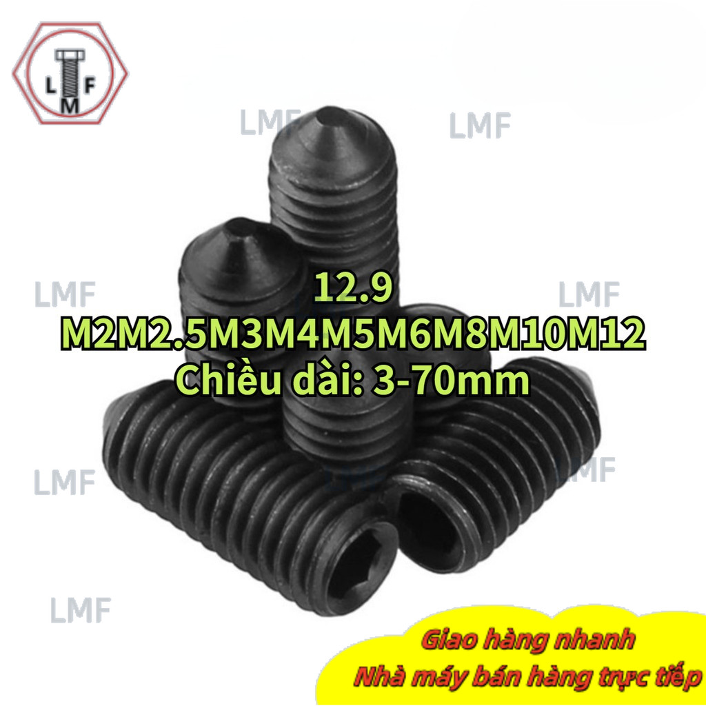 [[LMF]] Vít cạnh nhọn 12.9 Vít cố định vít không đầu lục giác M2-M12