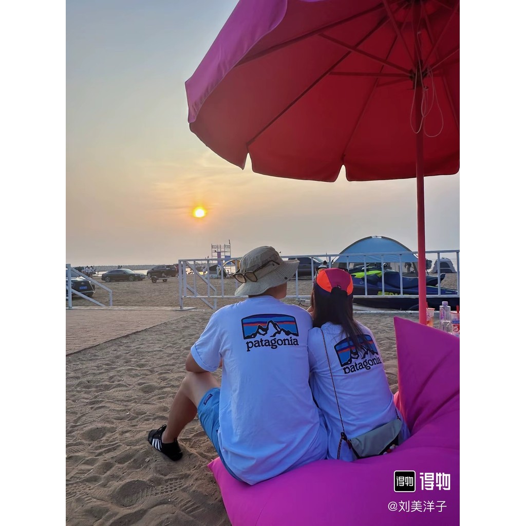 Patagonia Classic Snow Mountain Range Print TShirt Basic Short Sleeve T Couple's Outdoor T-shirt