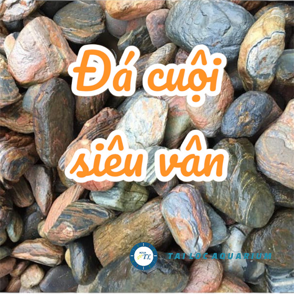 Đá cuội vân mây, cuội siêu vân (1kg): làm layout thủy sinh, Kích thước tùy chọn. Tiểu cảnh trang trí