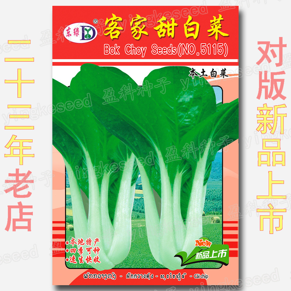 Hạt giống Hakka Beet Bắp cải năng suất cao, phù hợp trồng quanh năm