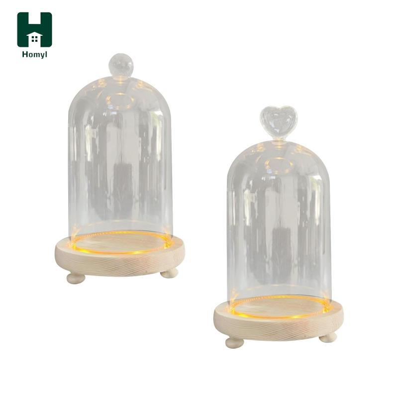 Hoyl Clear Glass Cloche Dome Office Cloche Bell Jar Display Case Clear Bell Jar