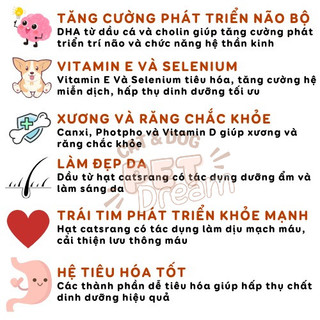 Hạt Catsrang Cho Mèo Dành Cho Mọi Lứa Tuổi Đầy Đủ Dinh Dưỡng Mùi Vị Thơm Ngon