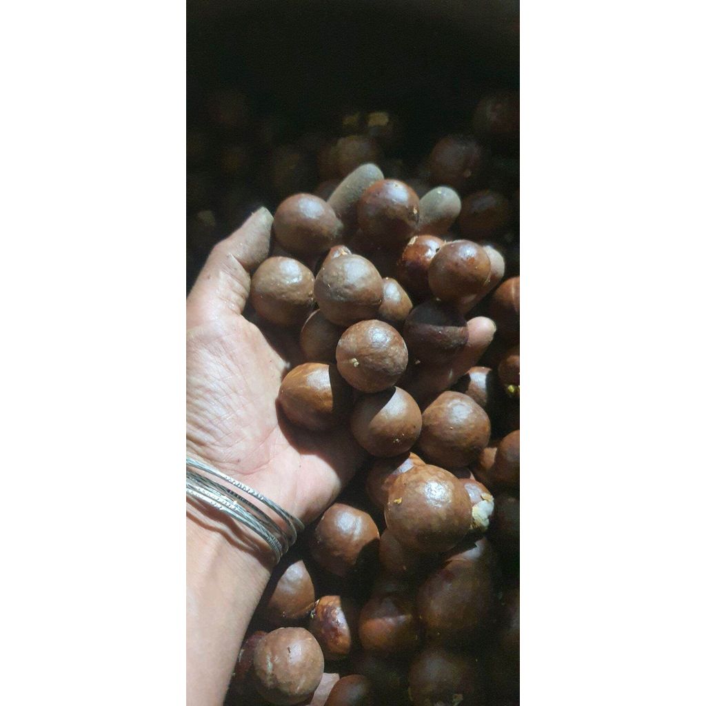 [Nhắn tin sẽ giao ngay]  hạt macca Macca Hand-- Macca Nutritional Seeds (Macca) 500 gram - 1kg