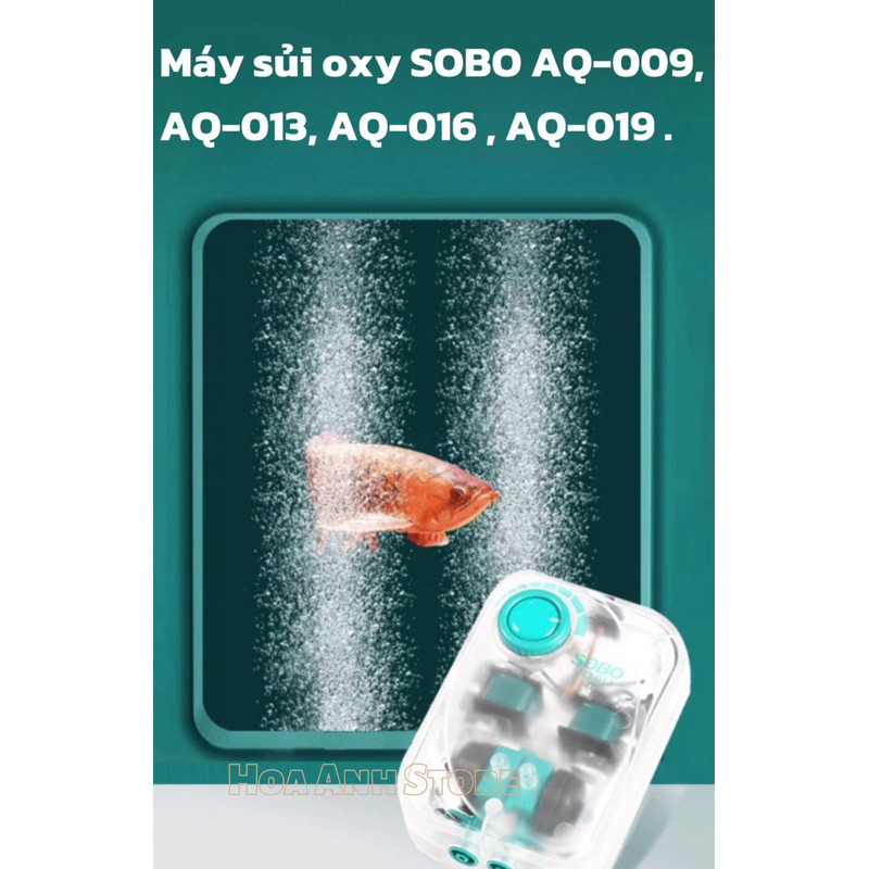 Máy sủi oxy SOBO AQ-009, AQ-013, AQ-016 , AQ-019 .
