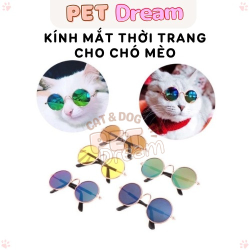 Kính Mắt Thời Trang Cho Thú Cưng