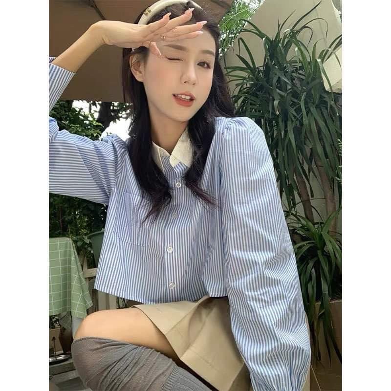 Áo Sơ Mi Tay Dài Nữ Lamo Design Áo SơMi Nữ Vải Sọc Kate Mềm thoáng mát Thuyết Kế Cổ Phối Trắng Xinh 