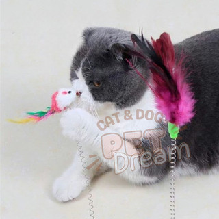 Đồ Chơi Lò Xo Cho Chó Mèo
