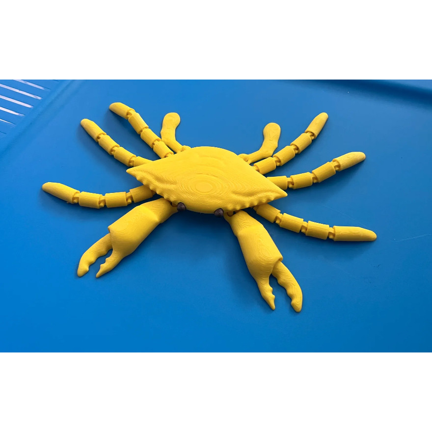 Đồ chơi khớp nối Cuero Cua Cua Đồ chơi trẻ em