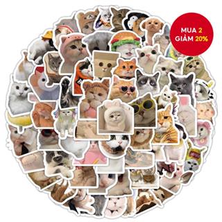 100 Miếng Dán Mèo Thực Tế - Đề Can Vinyl Chống Thấm Nước Cho Mũ Bảo Hiểm Xe Đạp & Hộp Đựng Bút Chì  Hoạt Hình Dễ Thương  