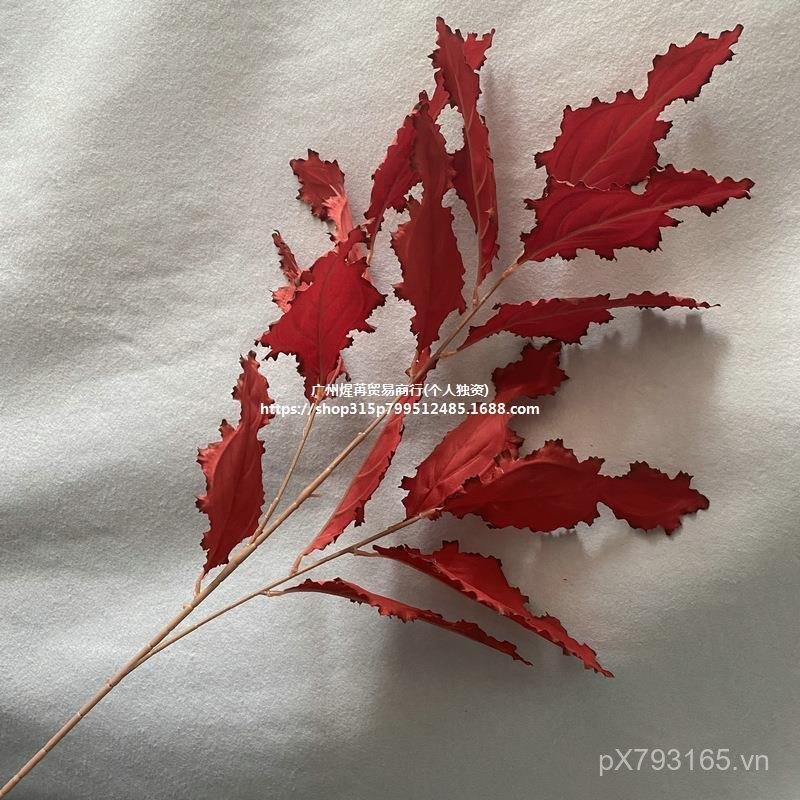 Đơn Bồ Đề Lá Cưới Giả Cây Xanh Phật Đám Cưới Lá Mô Phỏng Mô Phỏng Hoa Trần Tầng Hàng Sân Khấu Con Cô