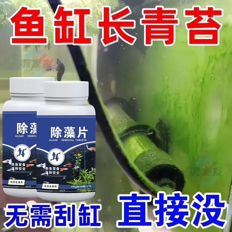 Bể Cá Loại Bỏ Rêu Tấm Tảo Xanh Rêu Loại Bỏ Dụng Cụ Tiện Dụng Bể Cá Loại Bỏ Nước Xanh Nâu Tảo Silgae 