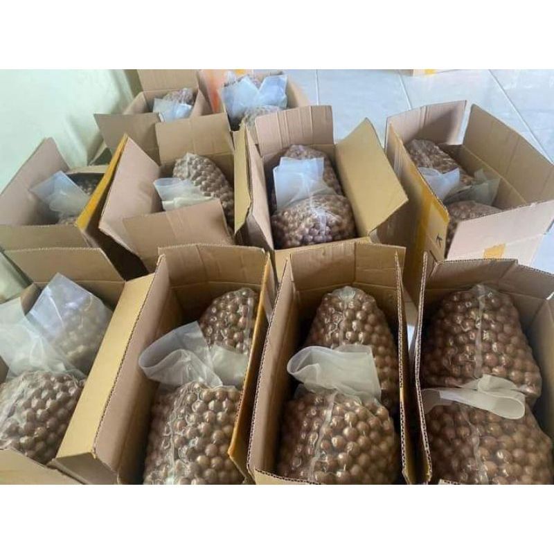 [Nhắn tin sẽ giao ngay] 1kg hạt macca, quả macca Đăk Lăk hàng mới thơm ngon 500 gram - 1kg