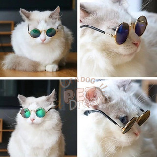 Kính Mắt Thời Trang Cho Thú Cưng