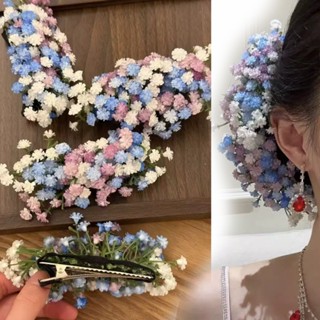  Cây nho tóc cô dâu; Mũ nón vương miện hoa Gypsophila; Phụ kiện tóc cưới Bohemian; Kẹp tóc mặt sau cho nữ; Mùa xuân 2026 