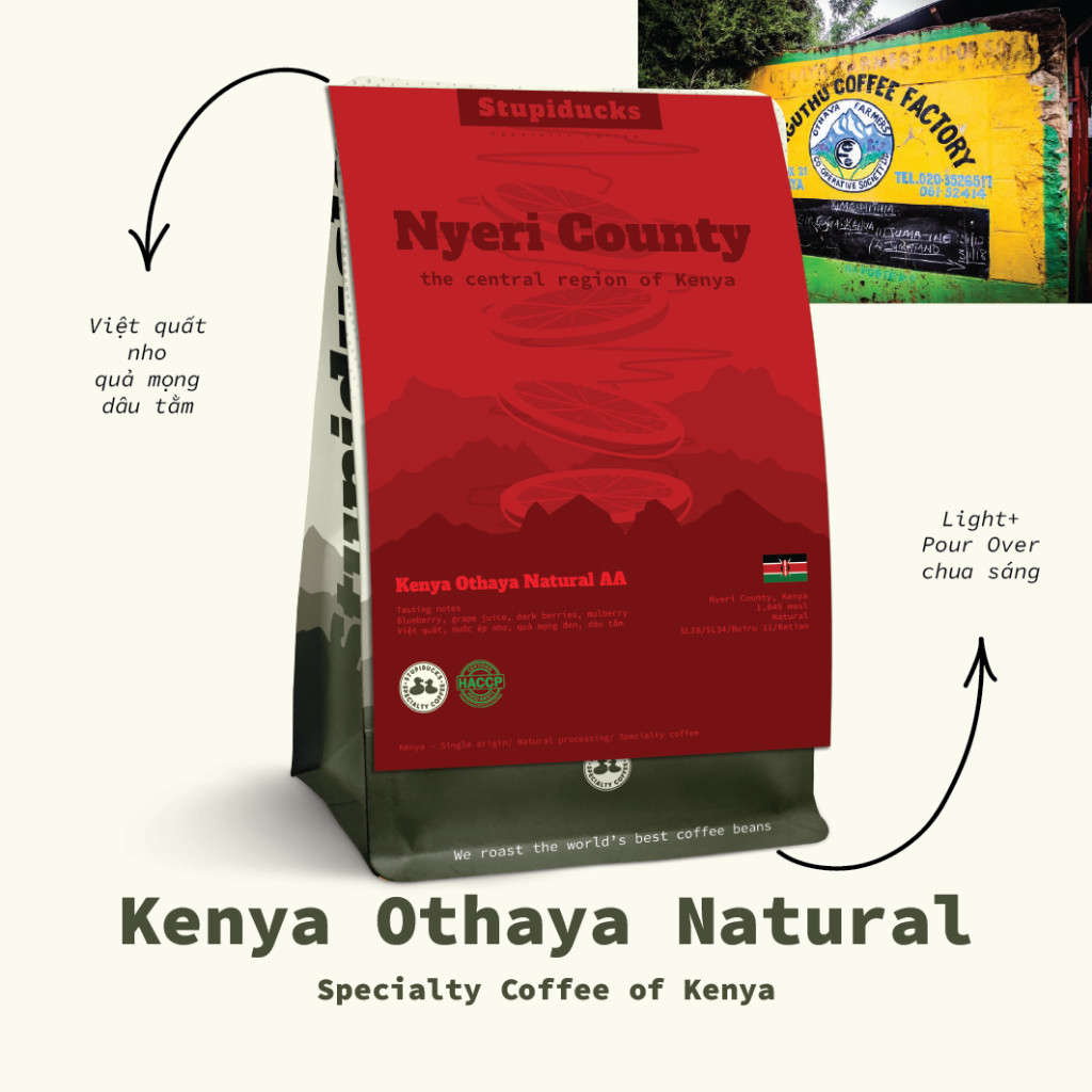 Cà Phê Kenya Othaya FCS Kiaguthu Factory AA Natural - Stupiducks Đà Lạt