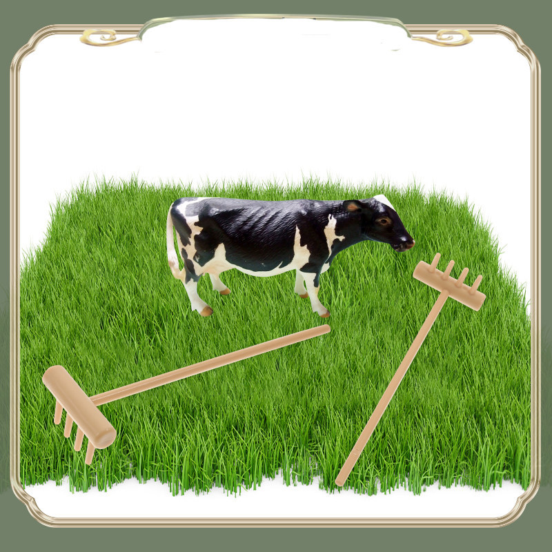 6 Chiếc Hộp Cát Zen Garden Mini Rakes Cho Mini lyuandai