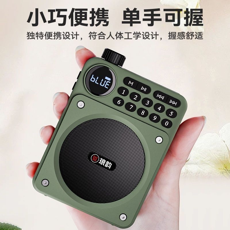 Langyun C65 Little Bee Amplifier Radio 2025 Thẻ Bluetooth USB Flash Drive Player Âm lượng lớn Rhyme 