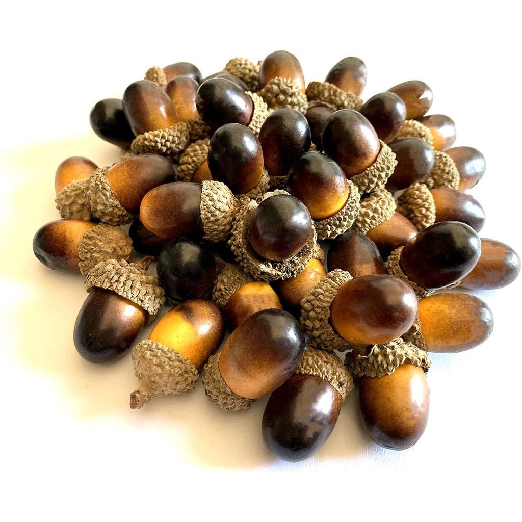 Aliotech 50 Gói Acorn Nhân Tạo Sống Động Như Thật Với Mũ Acorn Mô Phỏng Acorn Nhỏ Để Thủ Công DIY,, 