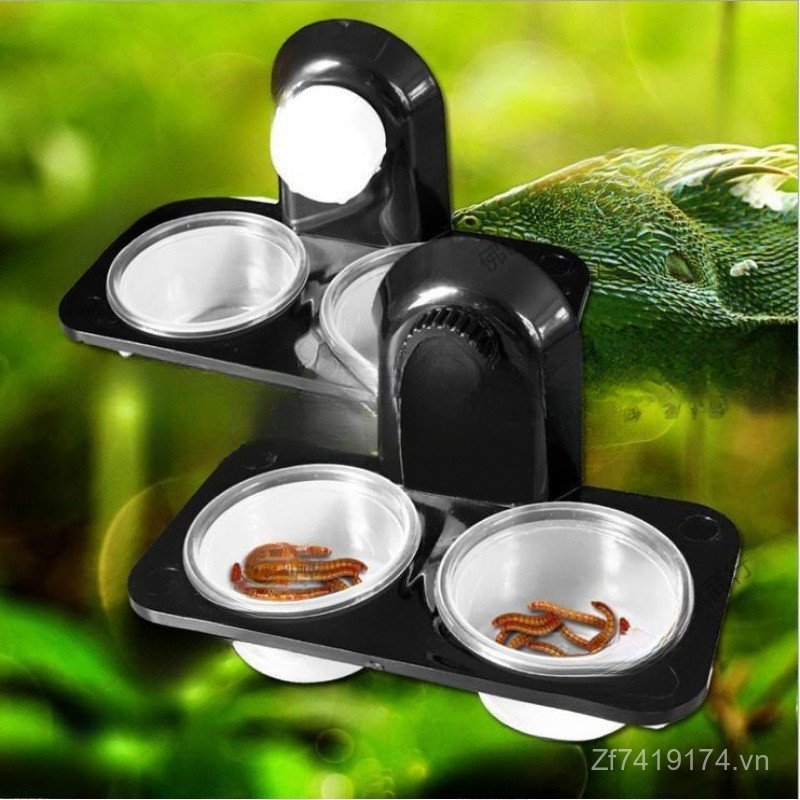 Bàn Ăn Bọ Cánh Cứng Xanh Hyena Lông Mi Bò Sát Chậu Rau Nhện Kép Lưu Vực Nước Thạch Tắc kè Bàn Lưu Vự