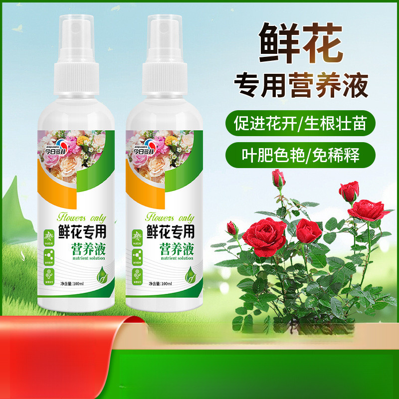 Hoa Đặc Biệt Dinh Dưỡng Hoa Hồng Lily Mùa Đa Năng Hoa Dinh Dưỡng Hoa Lily Rose [djY]