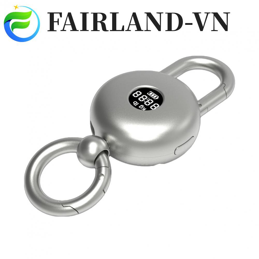 Digital Pocket Scale Clear Screen Display For Travel Use Keychain Weight Gauge