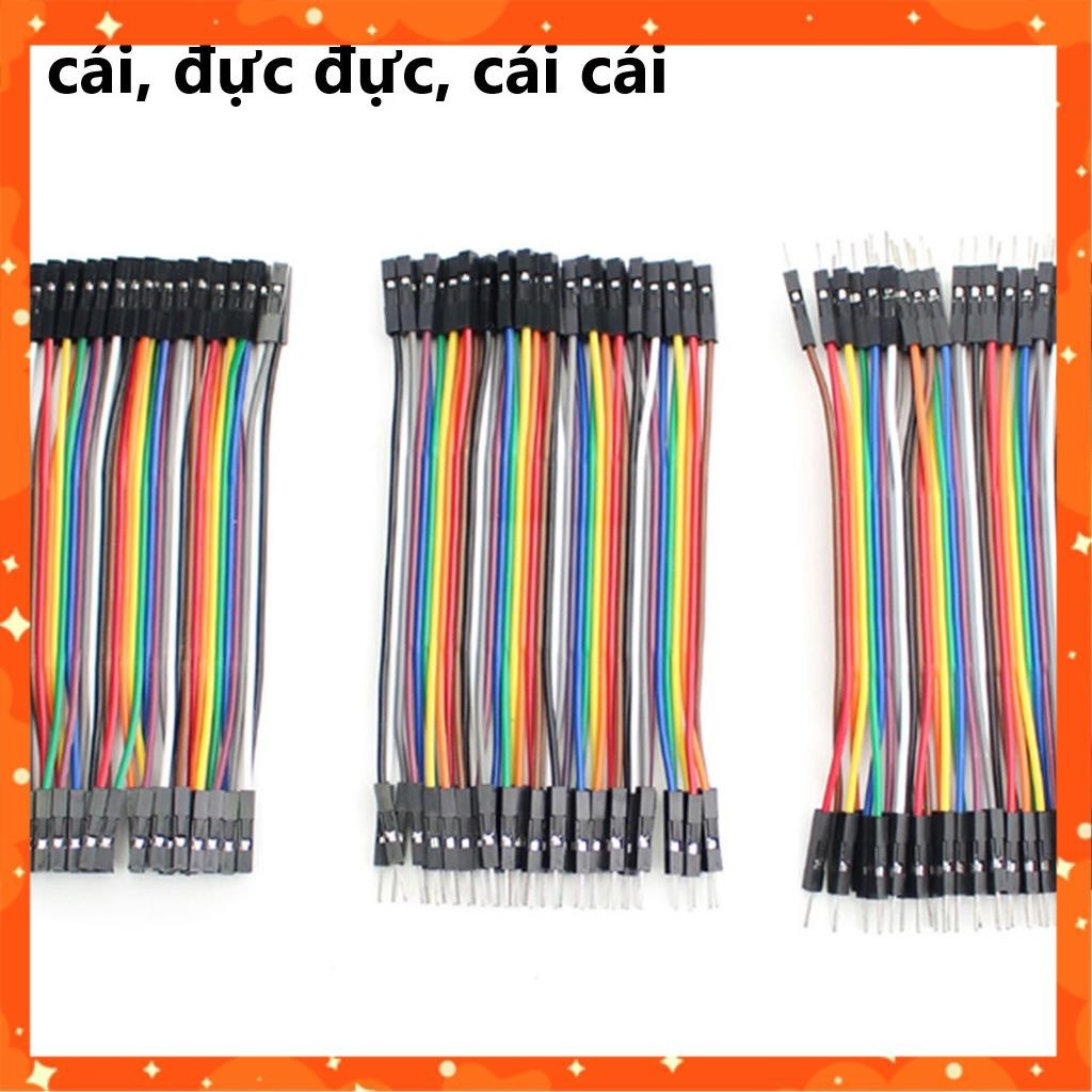 Tệp Dây 40P 10cm 3 loại đực cái, đực đực, cái cái