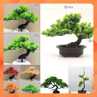  Chậu Cây Tùng Bonsai Nhân Tạo  Cây Giả Bằng Nhựa Trang Trí Tiểu Cảnh Hồ Cá Lũa 