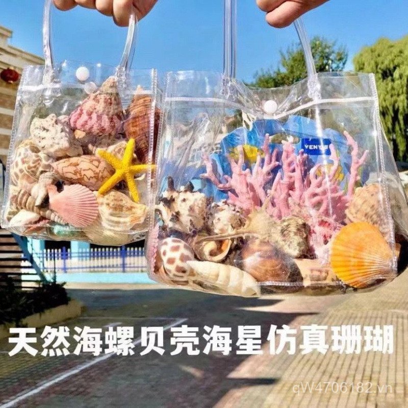 Đồ Chơi Trang Trí Sản Phẩm Trẻ Em Nóng Chảy Khoa Học Giáo Dục Bể Cá Có Conch Sao Biển Quà Tặng Sinh 