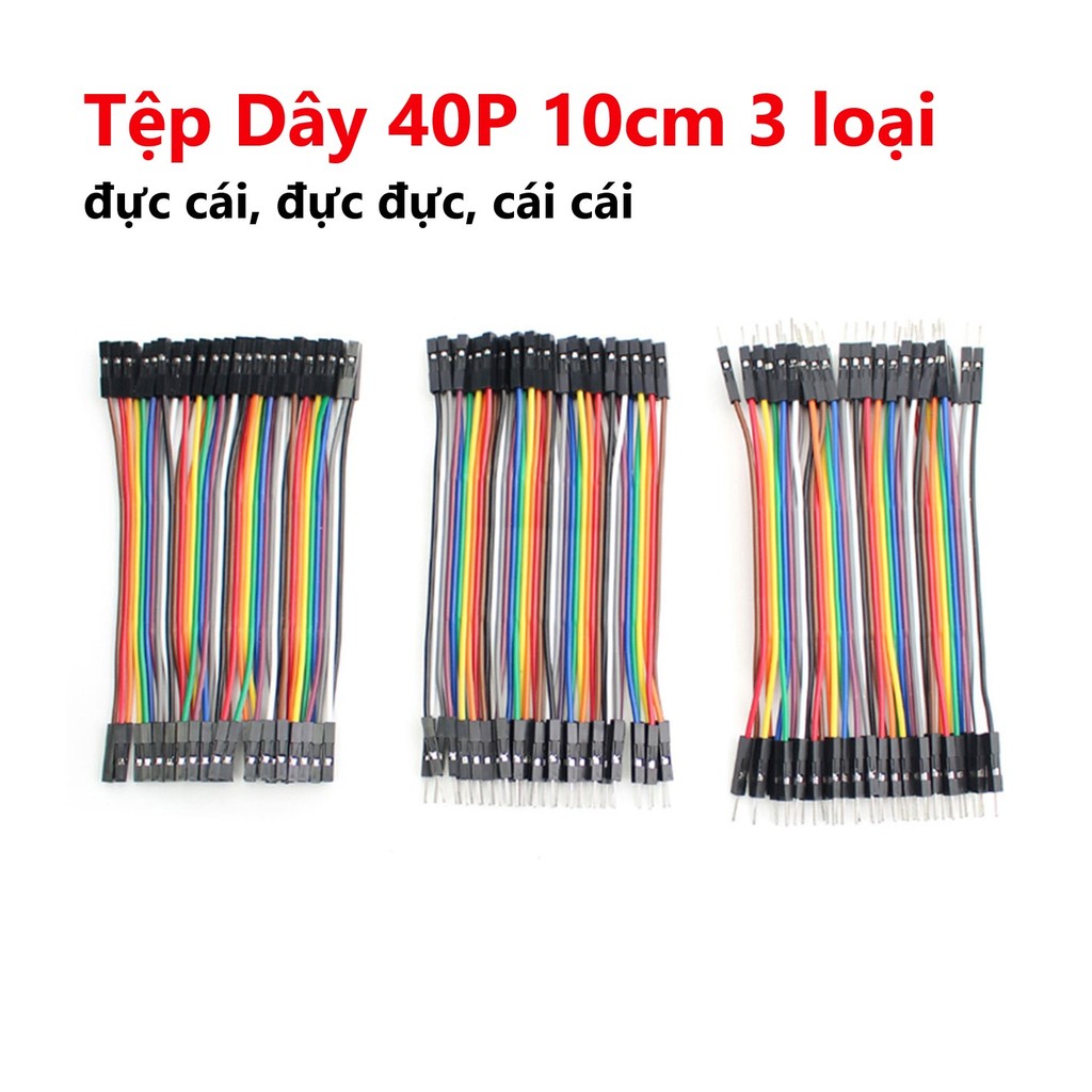 Tệp Dây 40P 10cm 3 loại đực cái, đực đực, cái cái
