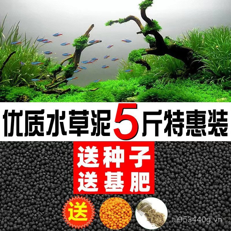 Bể Thực Vật Thủy Sinh Đáy Cát Trang Trí Cát Cảnh Quan Hạt Cát Bùn Cát Đáy Bể Cá Không Hỗn Hợp Thủy S