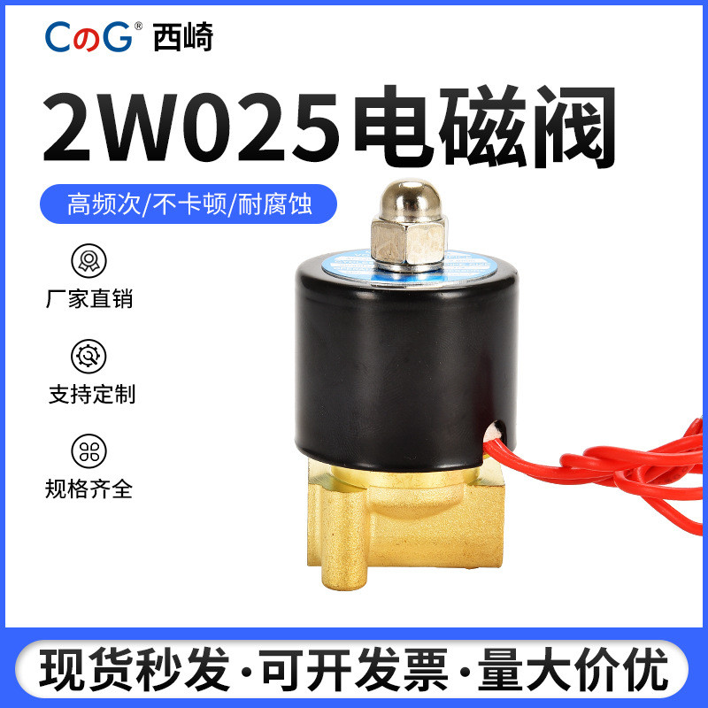 2w025-08 Hai Vị Trí Van Điện Từ Đóng Chung 2w-160-15 Van Nước Đồng 24V Van Điều Khiển Công Tắc AC220
