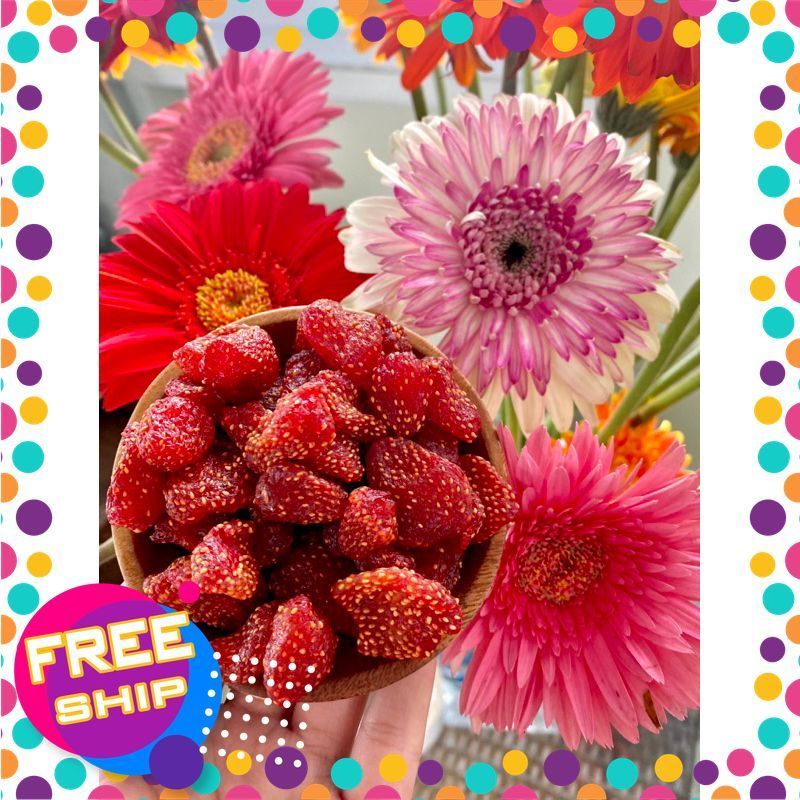 Dâu Tây Sấy Dẻo - H2FARM - - Đặc sản Đà lạt nhà H2farm