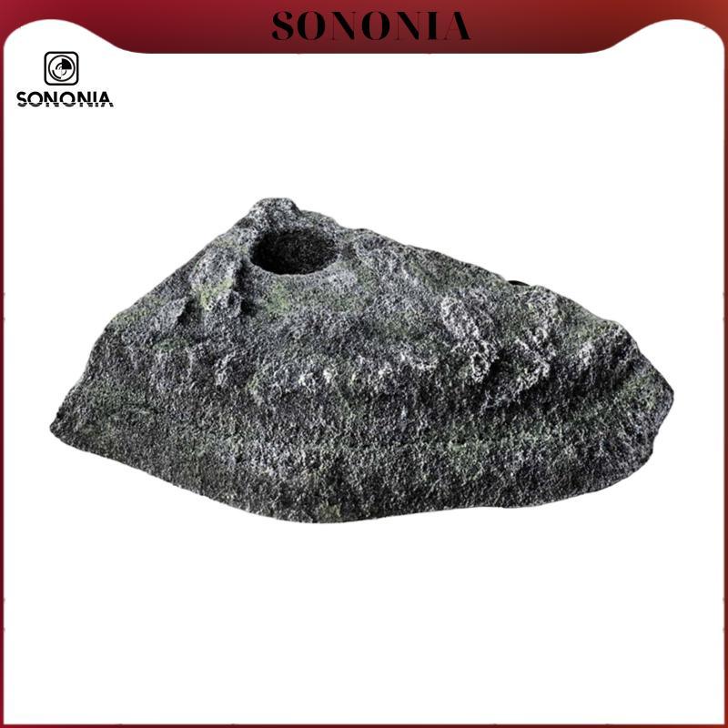 Turtle Basking Platform Resting Terrace Terrapin Habitat Climbing Ramp cho