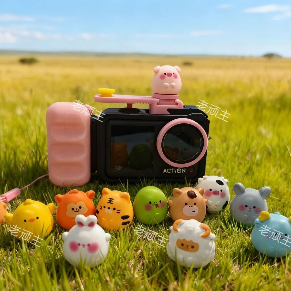 DJI Action5Pro Action5Pro Street Rabbit Halouya. Của tôi20251116