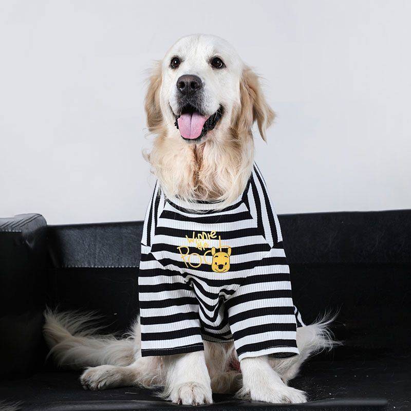 Medium-Sized Dog Large Dog Dog Clothes Thin Labrador Golden Retriever Anti-Lint Cute Dog Pet Clothes