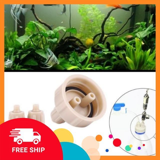 Nắp chế CO2 | DIY CO2 - Nắp chế bình CO2 cho bể cá thuỷ sinh #nấmaqua