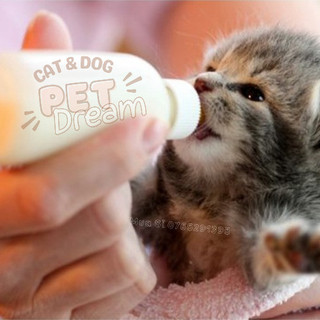 Sữa Bio Milk Dành Cho Thú Cưng Giúp Bổ Sung Dinh Dưỡng