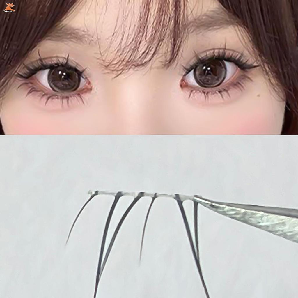 Cụm nối mi C Curl Comic - DIY Home Makeup Lông mi giả