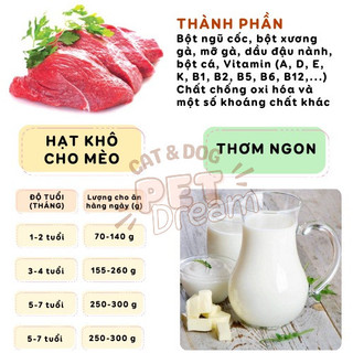 Hạt Catsrang Cho Mèo Dành Cho Mọi Lứa Tuổi Đầy Đủ Dinh Dưỡng Mùi Vị Thơm Ngon