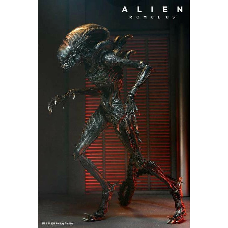 NECA Alien: Romulus Scorched Xenomorph Nhân vật hành động [Phiên bản cuối cùng]