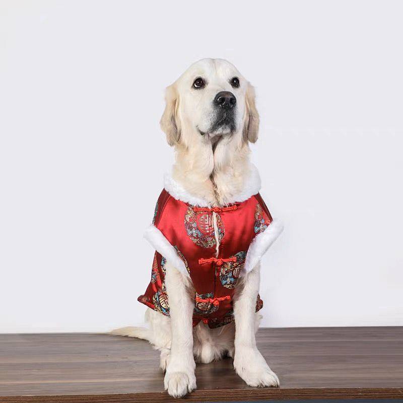 Dog Tang Suit Medium Large Dog Winter Golden Retriever New Year Warm Labrador Border Collie New Year
