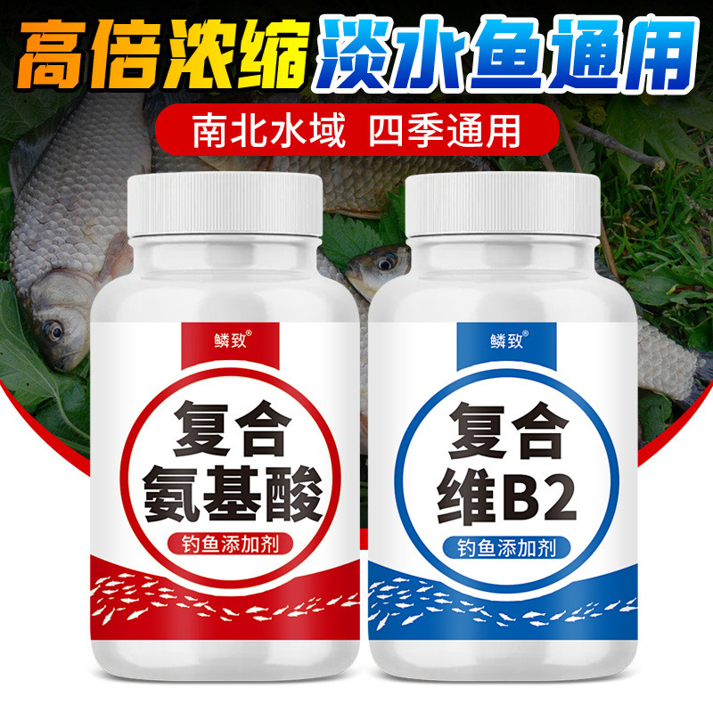 Hợp chất axit amin và vitamin B2 làm mồi câu cá crucian carp, phù hợp cho câu cá ngoài trời