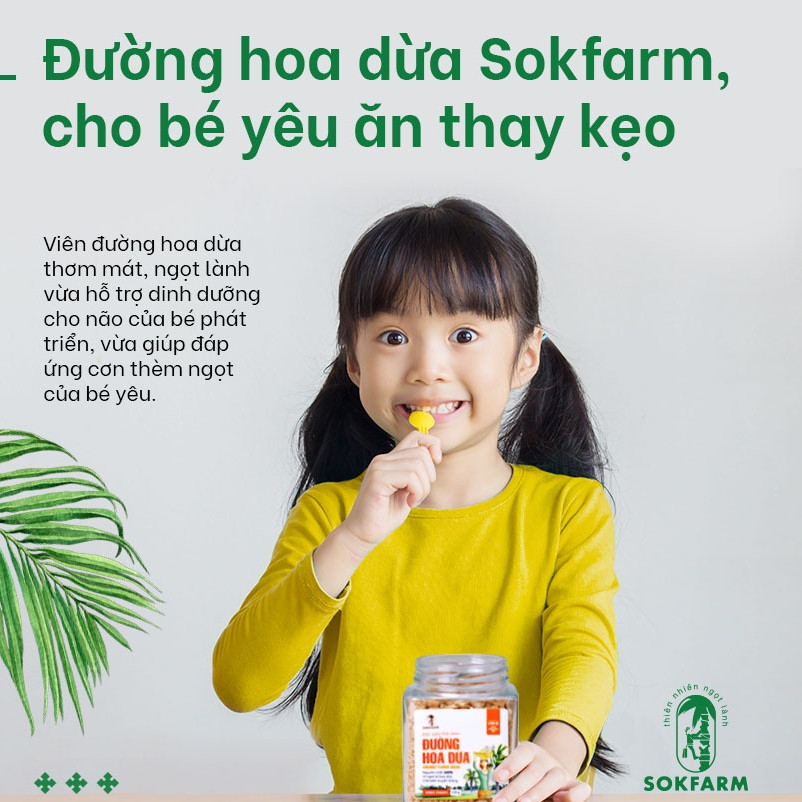 Đường hoa dừa hữu cơ Sokfarm 1kg, đường hoa dừa nguyên chất giàu dinh dưỡng và khoáng chất tự nhiên