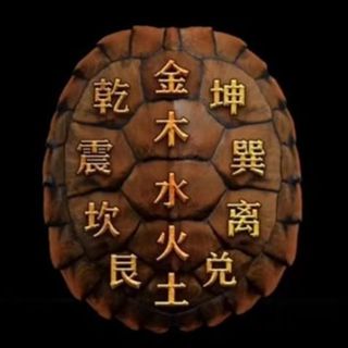 Vỏ Rùa Đầy Đủ Tự Nhiên Thật Rùa Vỏ Rùa Vỏ Wenwan Chơi Tiền Nhỏ Vỏ Rùa Phong Thủy Trang Trí Lắc Trigram Dụng Cụ Đánh Bóng 1020