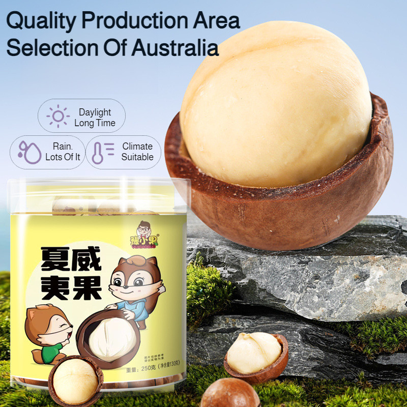 🌰Vị Béo Úc/Nhân Giòn Ngậy🌿Hạt Macca Bơ Úc Thượng Hạng/Quà Tết Hạt Cao Cấp/Đồ Nhắm Vặt Giòn Tan Giòn 